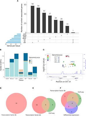 Plasma cortisol-linked gene networks in hepatic and adipose tissues implicate corticosteroid-binding globulin in modulating tissue glucocorticoid action and cardiovascular risk
